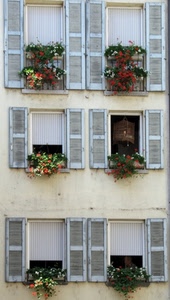 finestre, fiori, persiane, sei, piante, balconi, verde, palazzo, vasi, muro