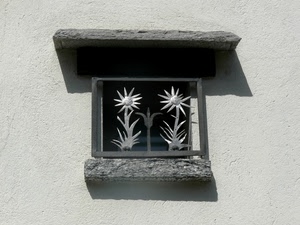 finestra, fiori, ombra, muro, bianconero, due, fiore, tettoia, grata