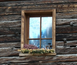 legno, finestra, fiori, riflesso, vetro, piante, vetri