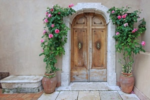 vasi, porta, rose, fiori, piante, legno, due, foglie, arco, portone, batacchi, pavimento