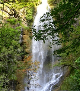 acqua, cascata, alberi, verde, rami, fiume, schiuma