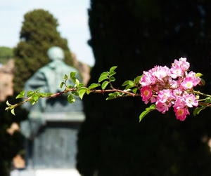 rosa, foglie, ramo, fiori, statua, fiore, macro