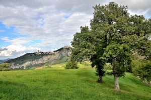 verde, prato, alberi, collina, nuvole, albero, panorama, paesaggio, cielo, montagna, erba, paese