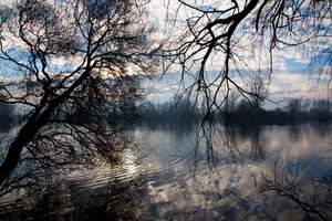 rami, acqua, alberi, riflesso, lago, nuvole, fiume, cielo, riflessi