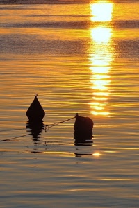 boe, acqua, mare, tramonto, riflesso, due, sole, oro, arancione, giallo, galleggianti, controluce, riflessi, corda