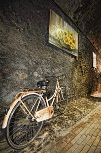 bicicletta, muro, ruote, girasoli, manubrio, quadro, sellino, quadri, strada, bici, dipinti, mattoni, ruggine, fiori