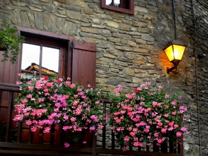 fiori, balcone, lampione, rosa, finestra, riflesso, ante