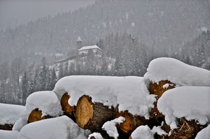 neve, inverno, legna, chiesa, alberi, bianco, tronchi