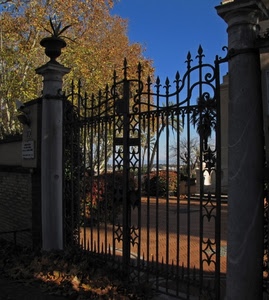 cancello, colonne, albero, ferro, vaso, chiuso, alberi, foglie, autunno