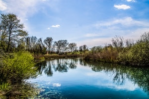 fiume, alberi, acqua, riflesso, nuvole, riflessi, cielo, lago, azzurro, piante