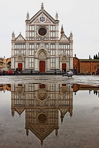 riflesso, chiesa, pozzanghera, piccione, acqua, colombo, uccello, duomo, rosone, piazza