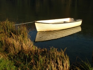 barca, erba, riflesso, acqua, bianco, lago, corda, riva