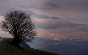 montagne, albero, nuvole, cielo, neve, panorama, paesaggio, alba, rami, tramonto, cime, montagna, strada, monti