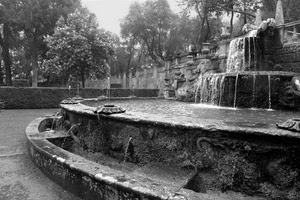 fontana, acqua, alberi, bianconero, zampilli, giardino, siepe, parco, cascata, vasche, piante