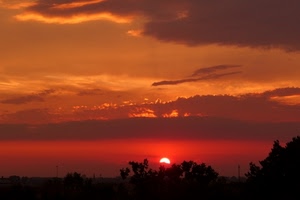 rosso, nuvole, tramonto, sole, cielo, controluce, alberi, silhouette, arancione, nero