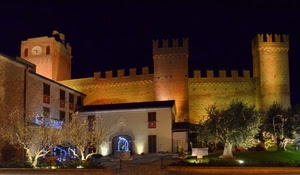 castello, alberi, luci, notturno, torri, merli, notte, piante