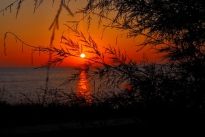 mare, tramonto, rami, sole, rosso, riflesso, arancione