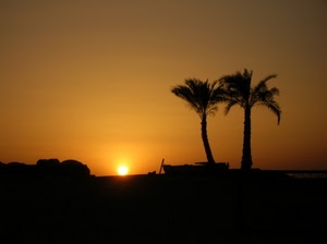 palme, tramonto, sole, barca, controluce, arancio, alberi