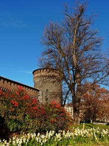 castello, fiori, albero, torre, piante