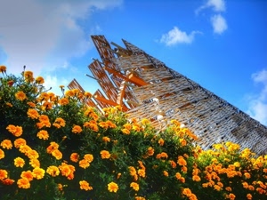 fiori, nuvole, cielo, giallo, verde, foglie, azzurro, expo, pianta, rosso, bianco, padiglione