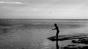 mare, bambino, acqua, scogli, controluce, bianconero, pesca, orizzonte