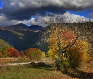 alberi, nuvole, cielo, autunno, montagne, verde, albero, rami, strada, giallo, ombre, nero, rosso, foglie, azzurro, colline, panorama, montagna, secco