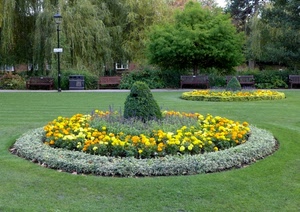 fiori, alberi, panchine, aiuola, aiuole, prato, verde, giallo, piante, lampione