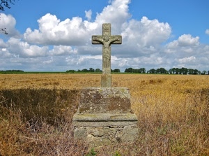 croce, nuvole, campo, cielo, alberi, grano, pietra, giallo, crocifisso