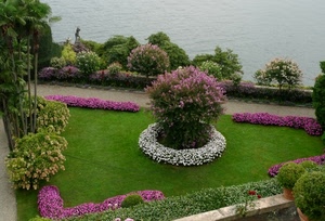 fiori, aiuole, piante, prato, verde, lago, giardino, aiuola, acqua, erba, alberi