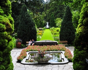 alberi, fiori, verde, fontana, giardino, aiuole, panchine, piante, aiuola