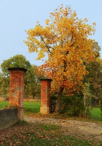 foglie, autunno, alberi, albero, colonne, pilastri, verde, giallo, colori, mattoni