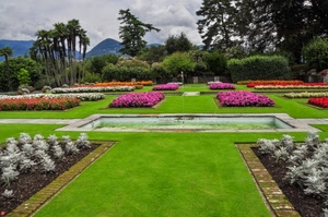 fiori, aiuole, alberi, verde, giardino, erba, prato, piante, fontana