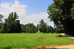 prato, alberi, verde, erba, nuvole, parco, giardino, sentiero