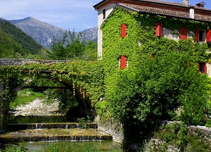 ponte, edera, finestre, verde, fiume, rosso, piante, montagne, casa