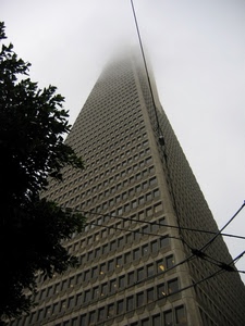 grattacielo, nebbia, albero, fili, finestre, prospettiva