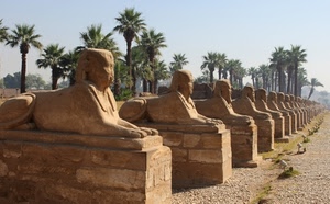 palme, sfingi, egitto, statue, sabbia, sfinge, fila, prospettiva