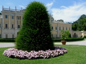 fiori, aiuola, palazzo, verde, albero, villa, piante, vaso, prato, finestre, alberi