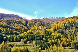 alberi, verde, montagna, boschi, bosco, montagne, panorama, giallo, cielo