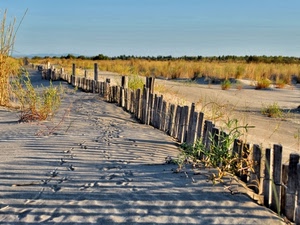 sabbia, staccionata, spiaggia, piante, cielo, ombre, legno, cespugli, palizzata, ombra, azzurro, orme