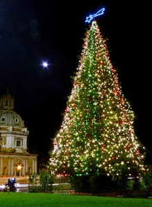 natale, albero, stella, luci, chiesa, notte, verde, luna