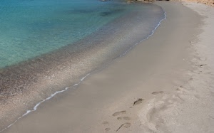 orme, sabbia, mare, spiaggia, acqua, bagnasciuga, riva, verde