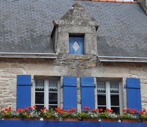 finestre, abbaino, fiori, vasi, tetto, azzurro, persiane, due