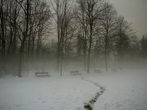 neve, alberi, panchine, nebbia, parco, inverno, orme