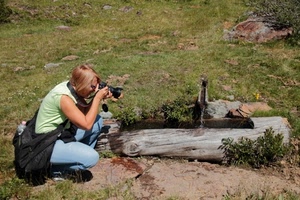 fontana, fotografo, tronco, fotografa, donna, prato, legno, acqua, fotografare, erba