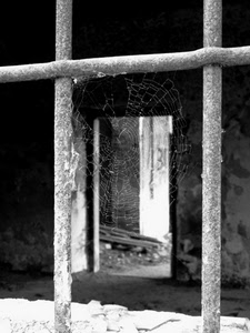 ragnatela, porta, grata, finestra, bianconero, ferro, rudere, sbarre, luce, abbandono