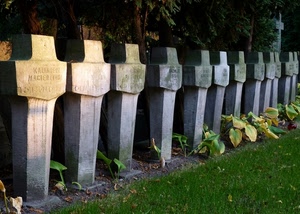 cimitero, croci, erba, foglie, prato, lapidi, tombe, verde, fila