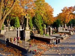 cimitero, tombe, foglie, croci, alberi, lapidi, autunno