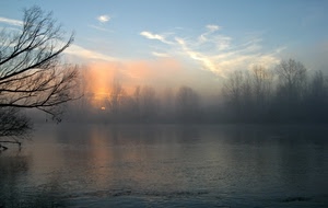 acqua, alberi, nebbia, tramonto, fiume, nuvole, alba, lago, cielo, sole, rami