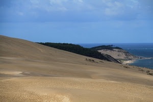 mare, sabbia, dune, cielo, paesaggio, spiaggia, deserto, costa, alberi
