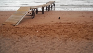 sabbia, mare, spiaggia, ruote, passerella, pontile, uccello, onde